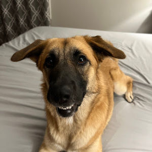 Meet your Posher, Katherine